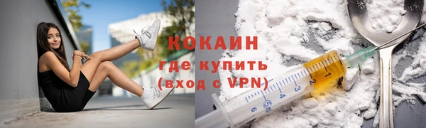 сатива Армянск