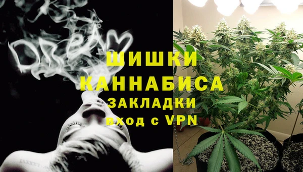 винт Богданович