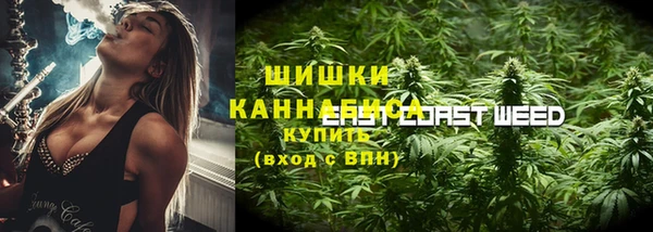 винт Богданович